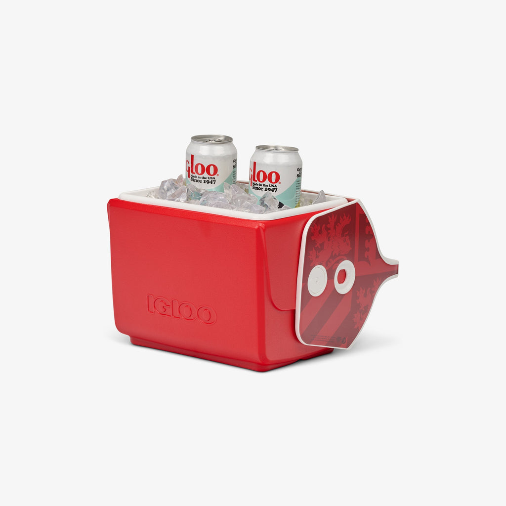 HARRY POTTER HOGWARTS™ House Little Playmate 9 Qt Cooler
