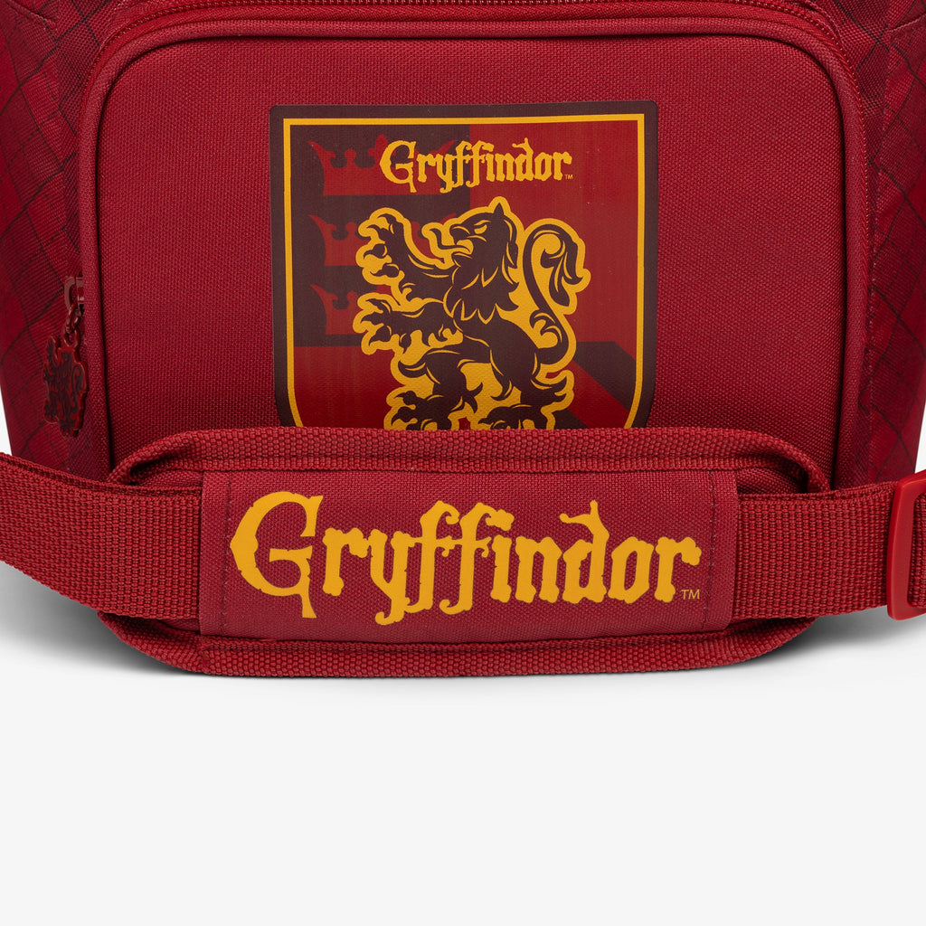 HARRY POTTER HOGWARTS™ House Square Lunch Cooler