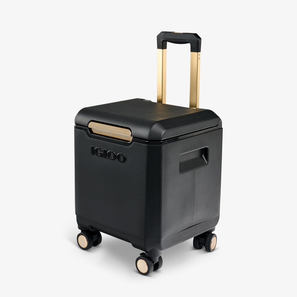 Tag Along Too Spinner Cooler