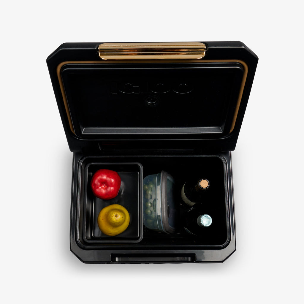 Tag Along Too Spinner Cooler