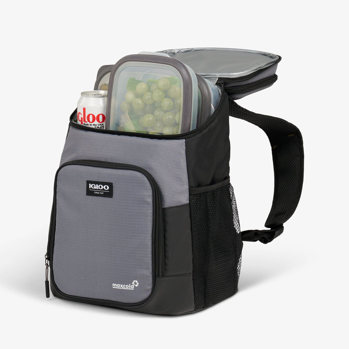 Latitude Hardtop 18-Can Backpack