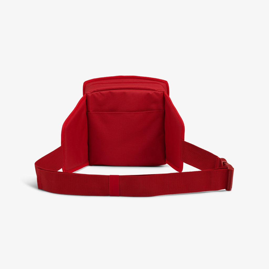 NFL WWE Cooler Fanny Pack