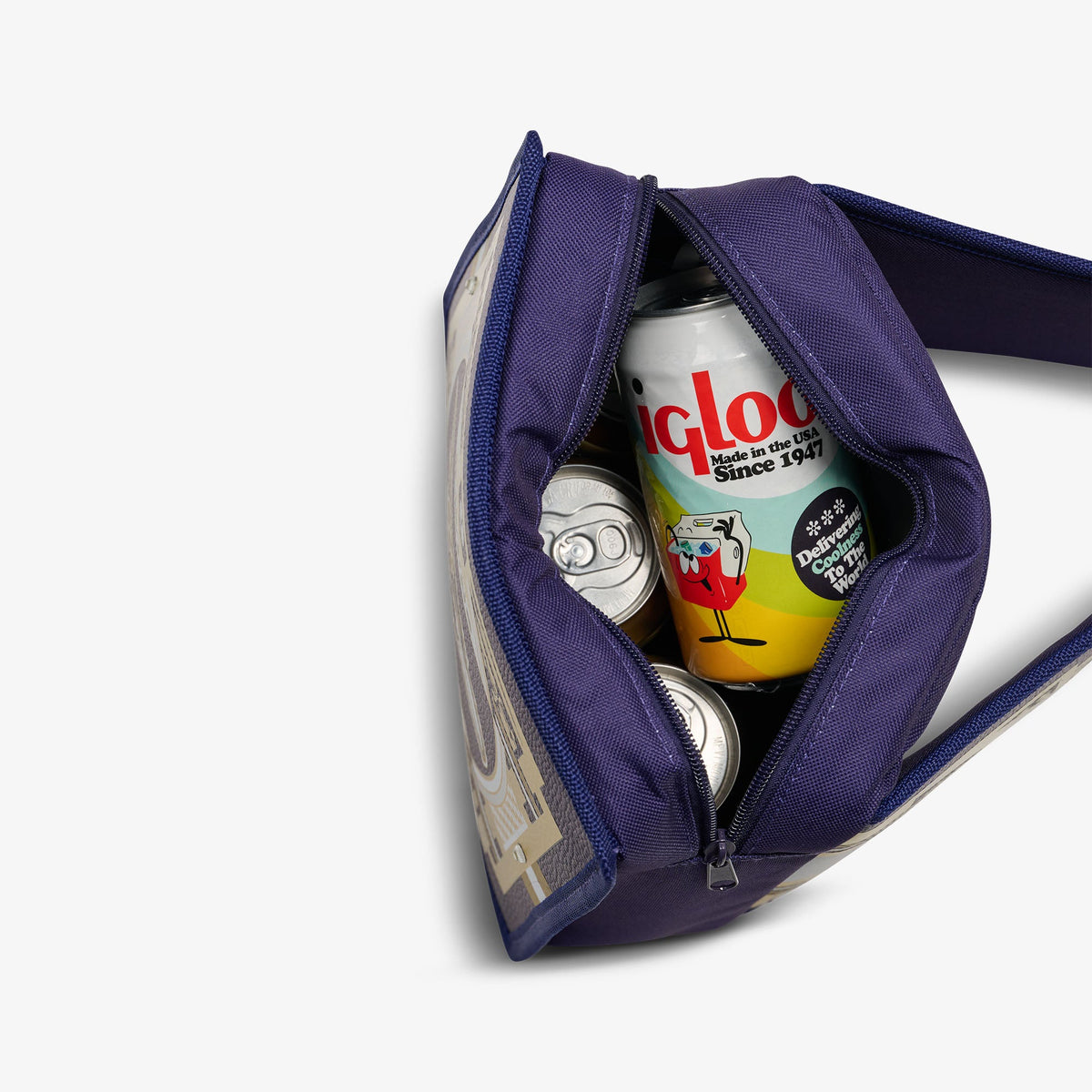 NFL WWE Cooler Fanny Pack