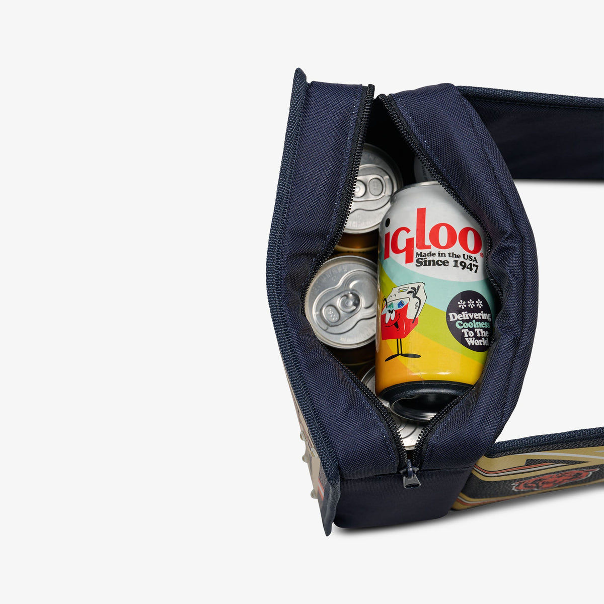 NFL WWE Cooler Fanny Pack