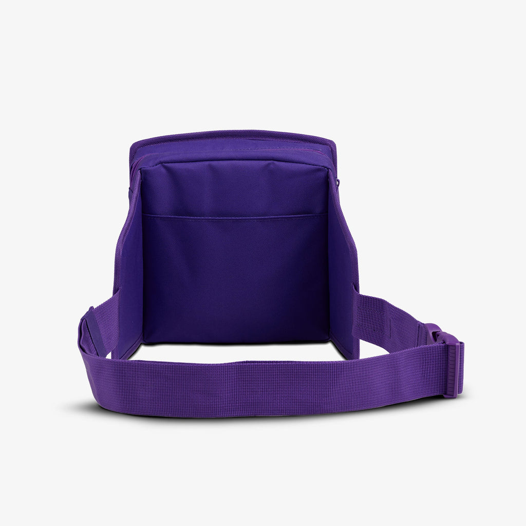 NFL WWE Cooler Fanny Pack