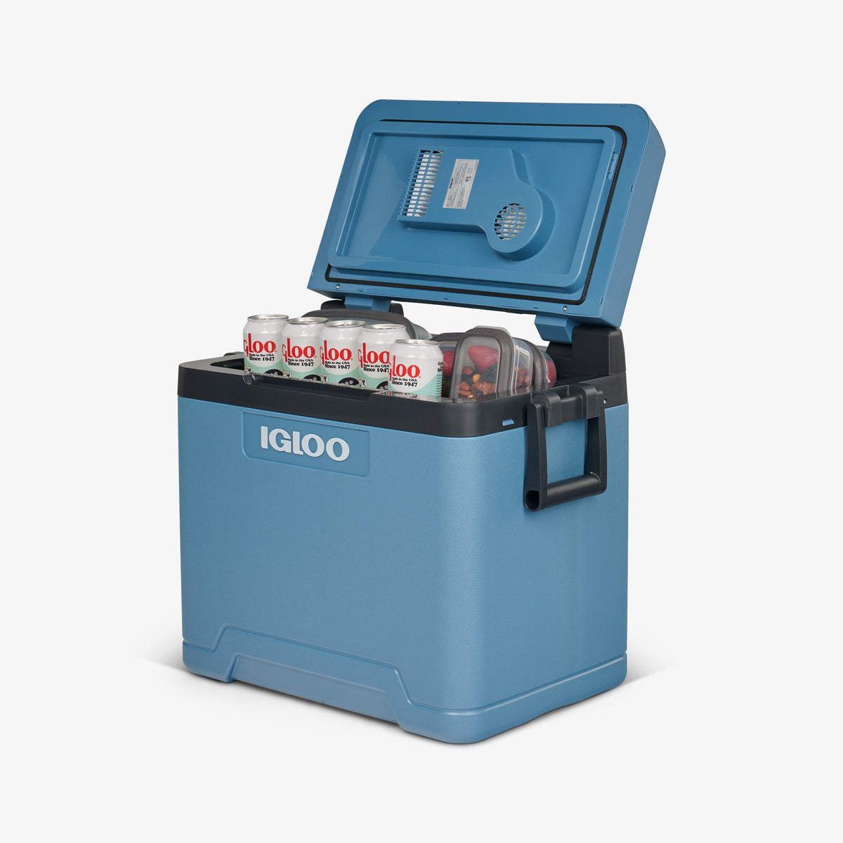 IE42 Thermoelectric Cooler