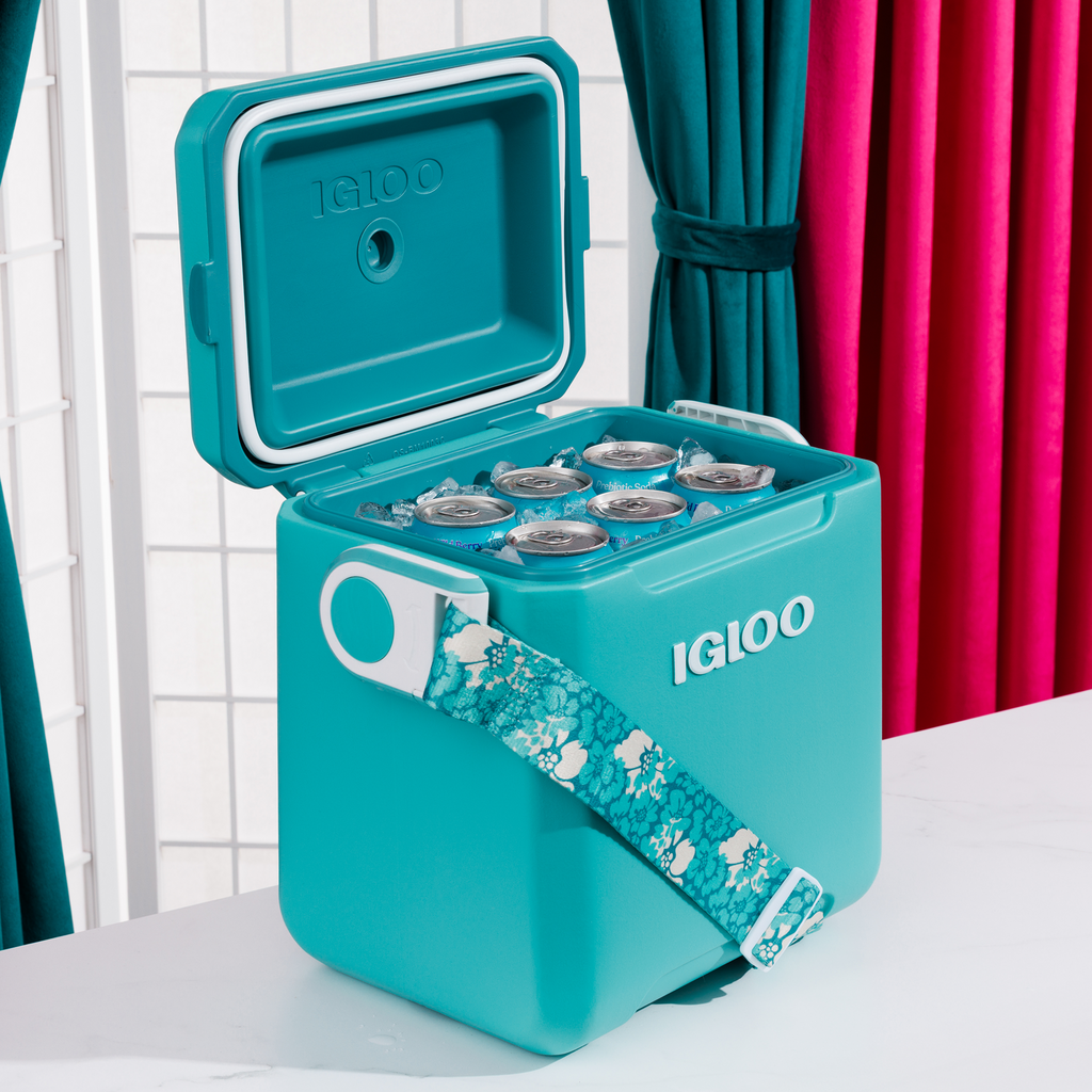 Tag Along Too Remix Cooler